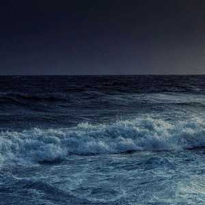 ✨Zoha Rezakhani✨