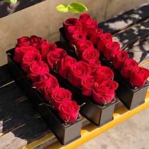 مطهره اصلانی
