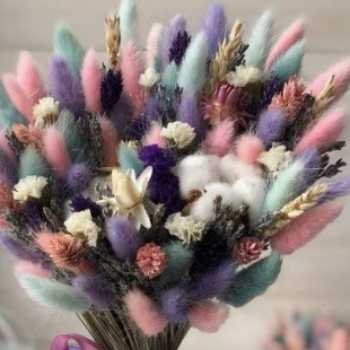 دستگاه گردش مواد: یاخته های خونی