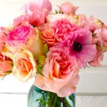 فصل 5: دستگاه تنظیم اسمزی و دفعی