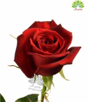 ریاضی فصل1 الگوها2