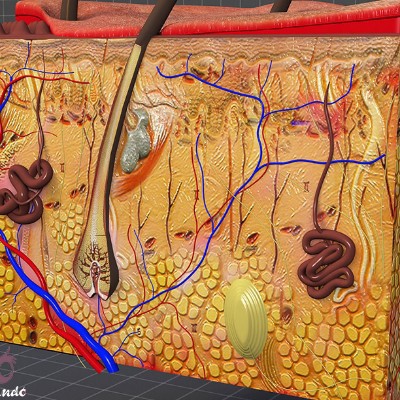 فصل 7چه خبر2