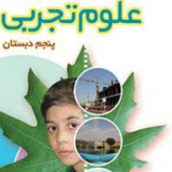مغز ونخاع