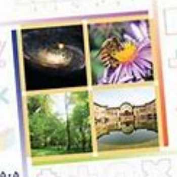 تکمیل کار تدریس درصد( ریاضی پنجم )