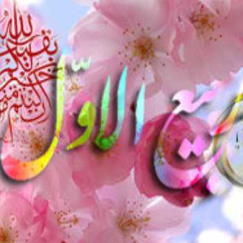 نویسنده: عطیه شرکت توسلی