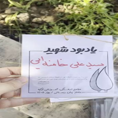  سروی به یاد فرزندان ایران