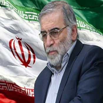 نویسنده: الهام شاهگلدی