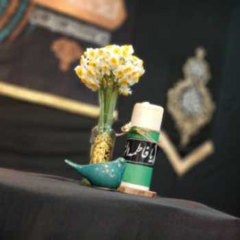 مثل فاطمه پای حق می ایستیم