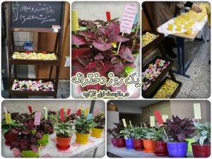 نویسنده: محبوبه خوانساری