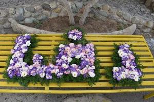 نویسنده: محبوبه خوانساری
