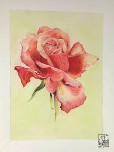 ژوژمان تصویر سازی - پایه دهم