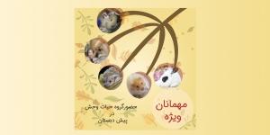 مهمانان ویژه