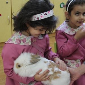 مهمانان ویژه
