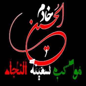 موکب سفینة النجاة