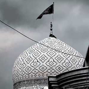 ریحانه دادخواه