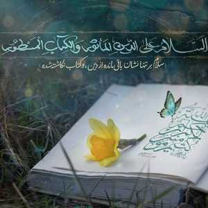 نرگس ارباب