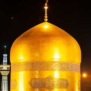 فاطمه نجفی