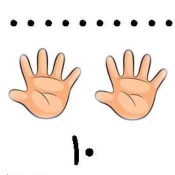 شناخت مفهوم عدد