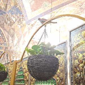 امام رضا
